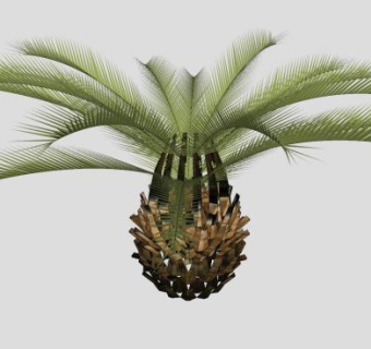 现代棕榈树SU模型下载_sketchup草图大师SKP模型