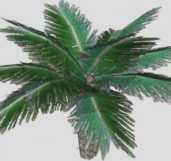 现代树木植物SU模型下载_sketchup草图大师SKP模型