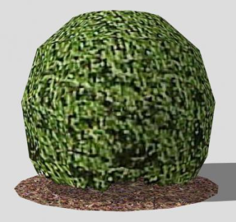 现代乔木树木SU模型下载_sketchup草图大师SKP模型