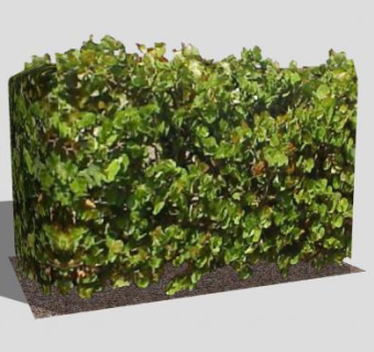 现代葡萄树篱SU模型下载_sketchup草图大师SKP模型