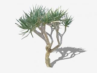 2D<em>沙漠树</em>SU模型下载_sketchup草图大师SKP模型