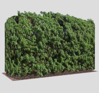 现代牡荆树篱SU模型下载_sketchup草图大师SKP模型