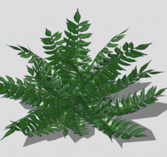 3D绿叶植物SU模型下载_sketchup草图大师SKP模型