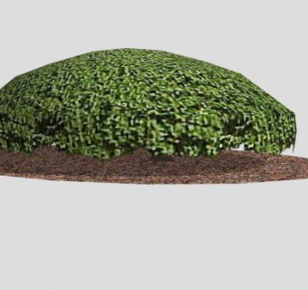 室外植物灌木SU模型下载_sketchup草图大师SKP模型