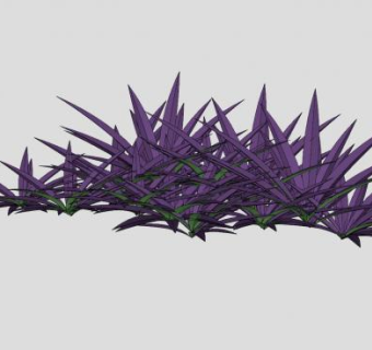 龙舌兰植物SU模型下载_sketchup草图大师SKP模型