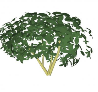 小灌木或树篱SU模型下载_sketchup草图大师SKP模型