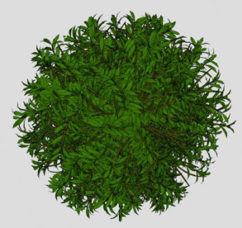 球型绿叶灌木SU模型下载_sketchup草图大师SKP模型