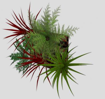 墙上的植物SU模型下载_sketchup草图大师SKP模型