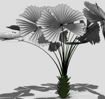 3D棕榈树植物SU模型下载_sketchup草图大师SKP模型