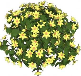 黄色花卉绿叶灌木SU模型下载_sketchup草图大师SKP模型