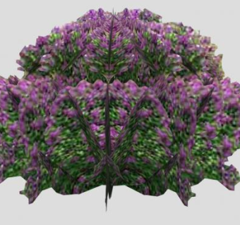 低聚紫丁香花灌木SU模型下载_sketchup草图大师SKP模型