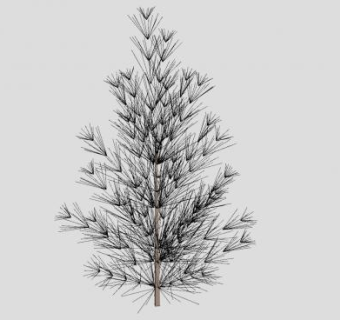 松科松树植物SU模型下载_sketchup草图大师SKP模型
