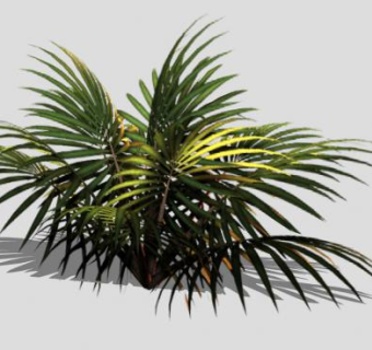 小型棕榈树SU模型下载_sketchup草图大师SKP模型