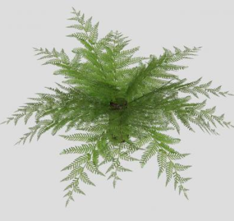 简单拼凑树木SU模型下载_sketchup草图大师SKP模型