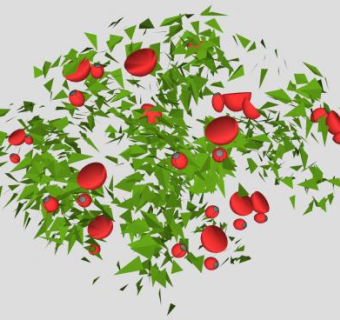 红玫瑰灌木SU模型下载_sketchup草图大师SKP模型