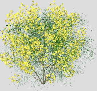 黄色花丛灌木SU模型下载_sketchup草图大师SKP模型