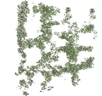 葡萄叶植物SU模型下载_sketchup草图大师SKP模型