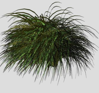 绿叶观叶3D植物SU模型下载_sketchup草图大师SKP模型
