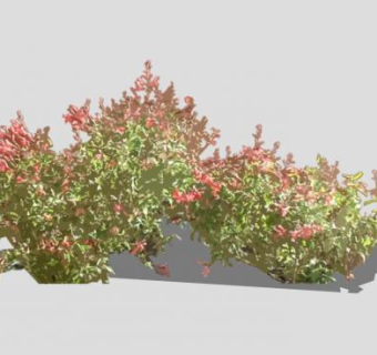 刺槐花灌木SU模型下载_sketchup草图大师SKP模型