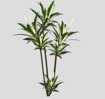 盆栽灌木植物SU模型下载_sketchup草图大师SKP模型