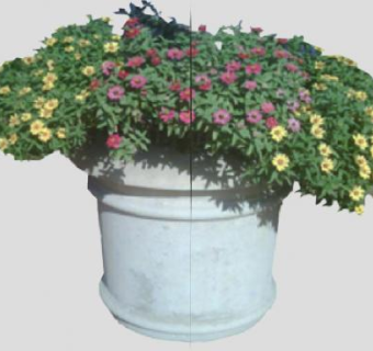 灌木花卉植物花盆SU模型下载_sketchup草图大师SKP模型