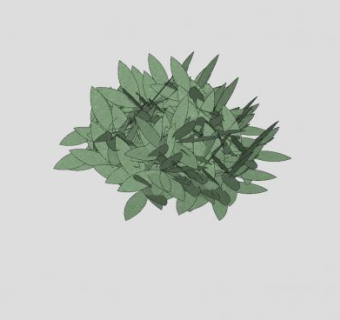 绵毛水苏草本植物SU模型下载_sketchup草图大师SKP模型