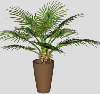 盆栽棕榈树SU模型下载_sketchup草图大师SKP模型