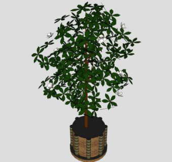 砖砌乔木植物SU模型下载_sketchup草图大师SKP模型