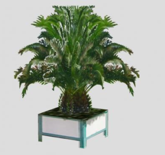 棕榈树和盆栽SU模型下载_sketchup草图大师SKP模型