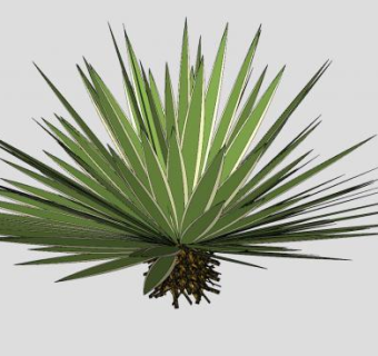 灌木木本植物SU模型下载_sketchup草图大师SKP模型