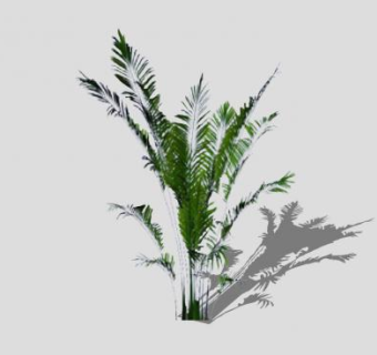 2D植物SU模型下载_sketchup草图大师SKP模型