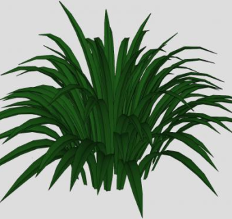常绿观叶植物SU模型下载_sketchup草图大师SKP模型