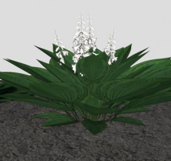 白色花卉灌木植物SU模型下载_sketchup草图大师SKP模型