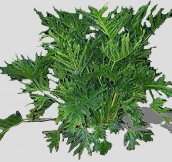 2D绿色植物SU模型下载_sketchup草图大师SKP模型