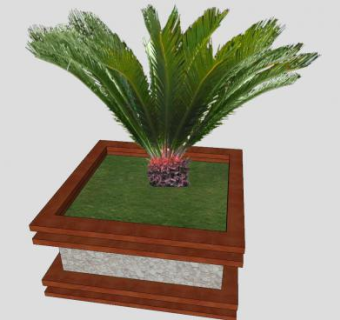 地景植物棕榈树SU模型下载_sketchup草图大师SKP模型