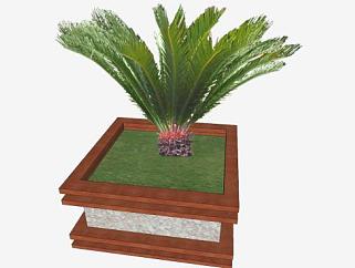 <em>地景</em>植物棕榈树SU模型下载_sketchup草图大师SKP模型
