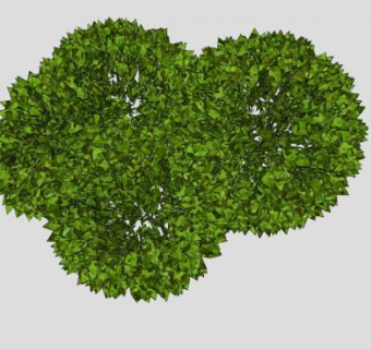 3D绿叶灌木丛SU模型下载_sketchup草图大师SKP模型