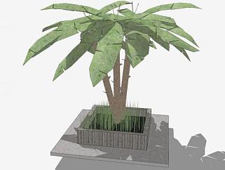 户外围砌木<em>本</em>植物SU模型下载_sketchup草图大师SKP模型