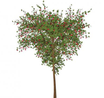 红色果实乔木果树SU模型下载_sketchup草图大师SKP模型