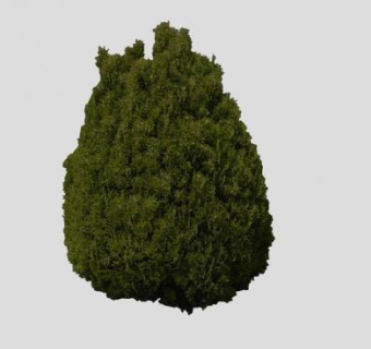 平面灌木植物SU模型下载_sketchup草图大师SKP模型