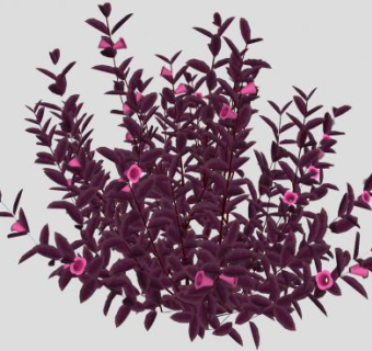 紫色叶子花卉灌木SU模型下载_sketchup草图大师SKP模型