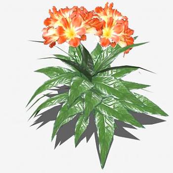 橙色<em>开花植物</em>SU模型下载_sketchup草图大师SKP模型