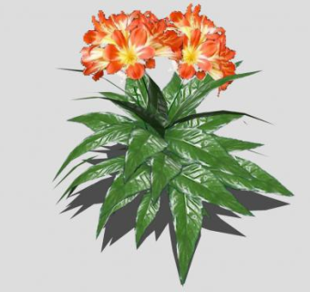 橙色开花植物SU模型下载_sketchup草图大师SKP模型