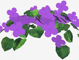 紫色花朵<em>开花</em>植物SU模型下载_sketchup草图大师SKP模型