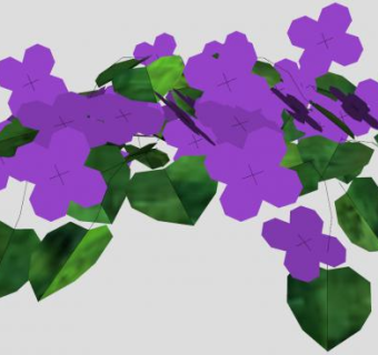 紫色花朵开花植物SU模型下载_sketchup草图大师SKP模型