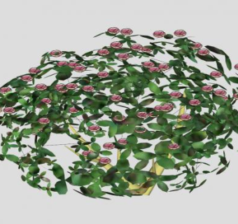 粉红色的杜鹃花灌木SU模型下载_sketchup草图大师SKP模型
