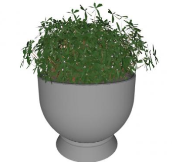 户外花钵中观叶植物SU模型下载_sketchup草图大师SKP模型