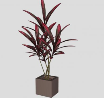 朱蕉属灌木盆栽SU模型下载_sketchup草图大师SKP模型