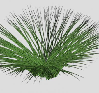 杂草植物SU模型下载_sketchup草图大师SKP模型