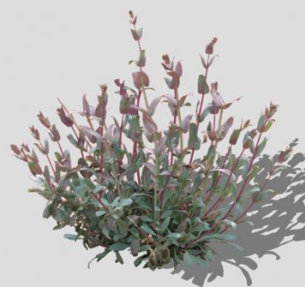 平面灌木观叶植物SU模型下载_sketchup草图大师SKP模型